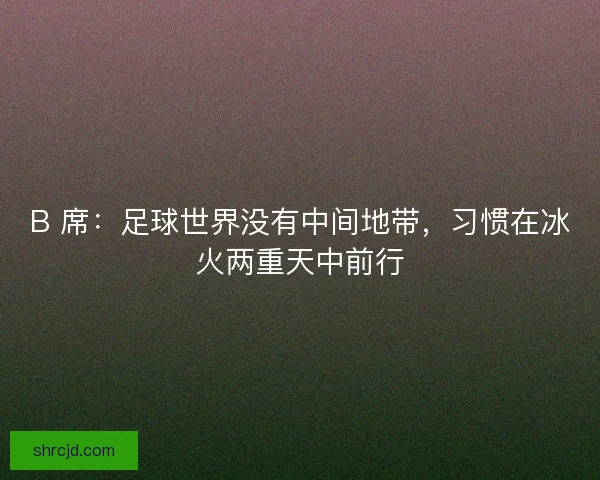 B 席：足球世界没有中间地带，习惯在冰火两重天中前行