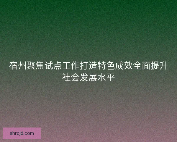 宿州聚焦试点工作打造特色成效全面提升社会发展水平
