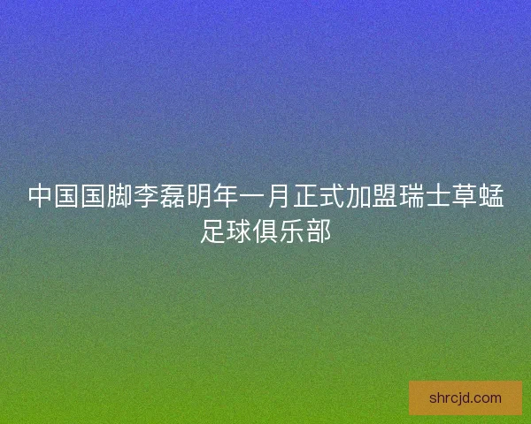 中国国脚李磊明年一月正式加盟瑞士草蜢足球俱乐部
